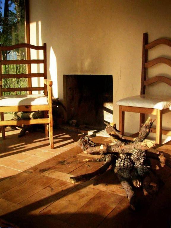 Cabanas Entrada A La Sierra Otel Zacapoaxtla Oda fotoğraf